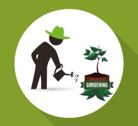 Greenaway Garden Services